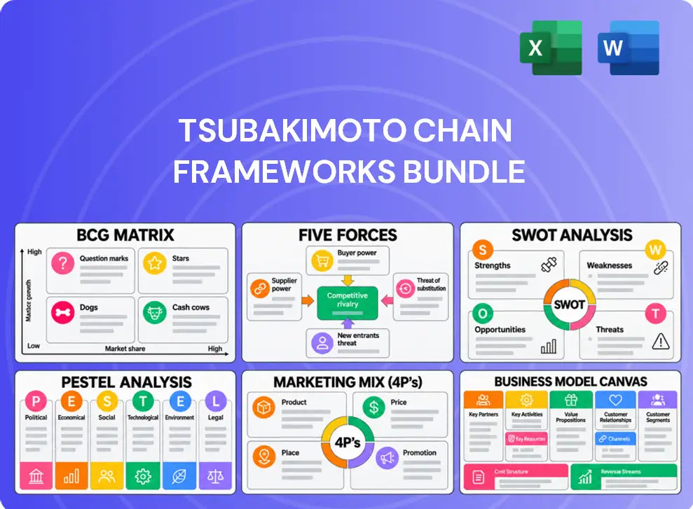 Tsubakimoto Chain Company Analysis