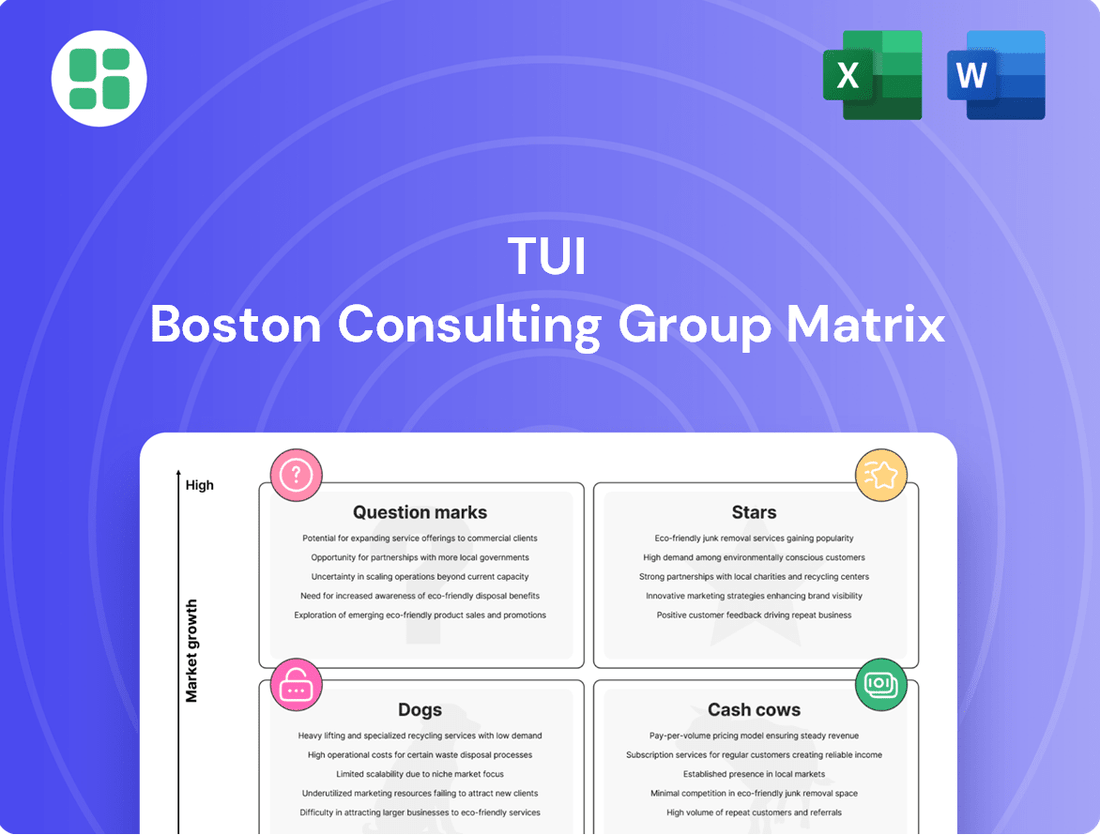 TUI Boston Consulting Group Matrix