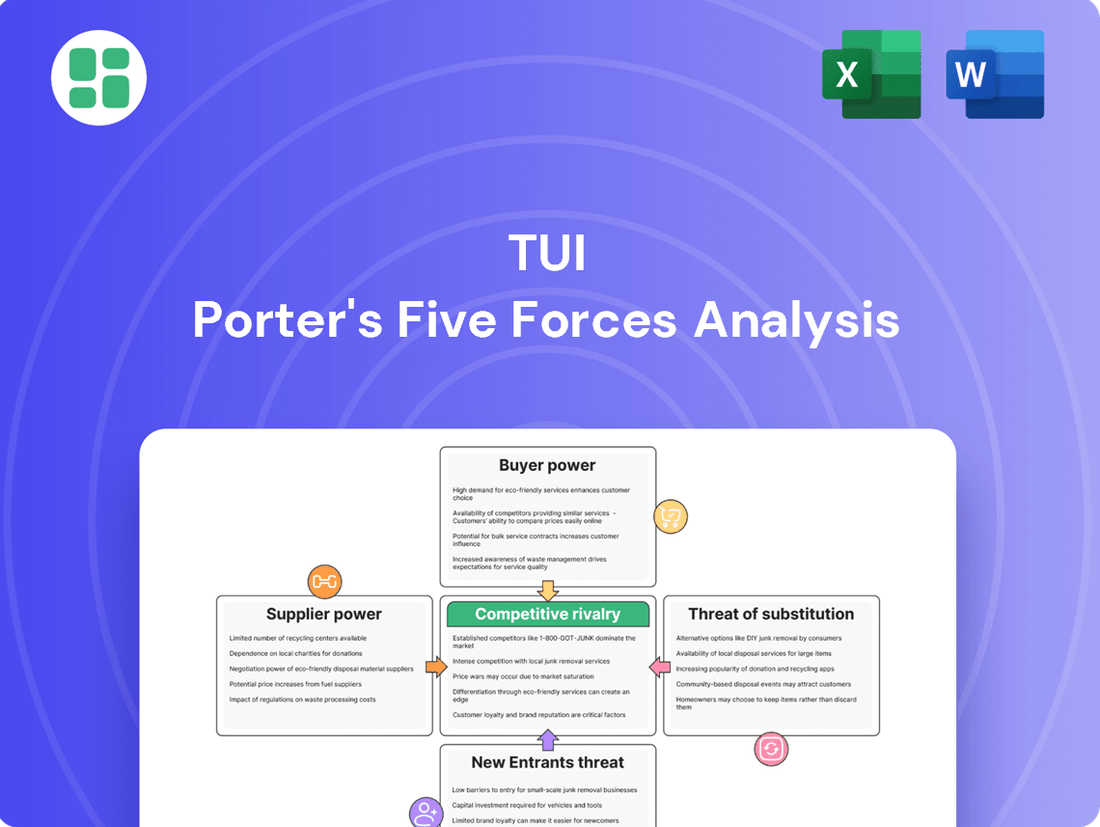 TUI Porter's Five Forces Analysis