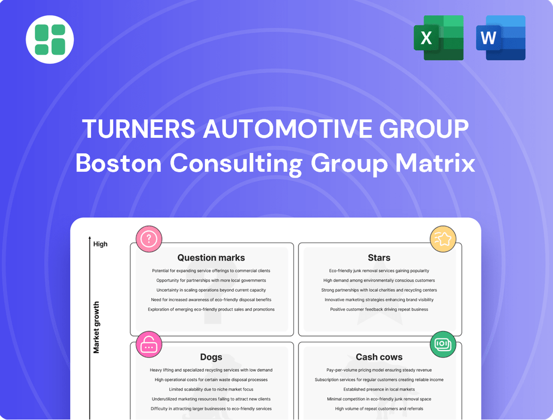 Turners Automotive Group Boston Consulting Group Matrix