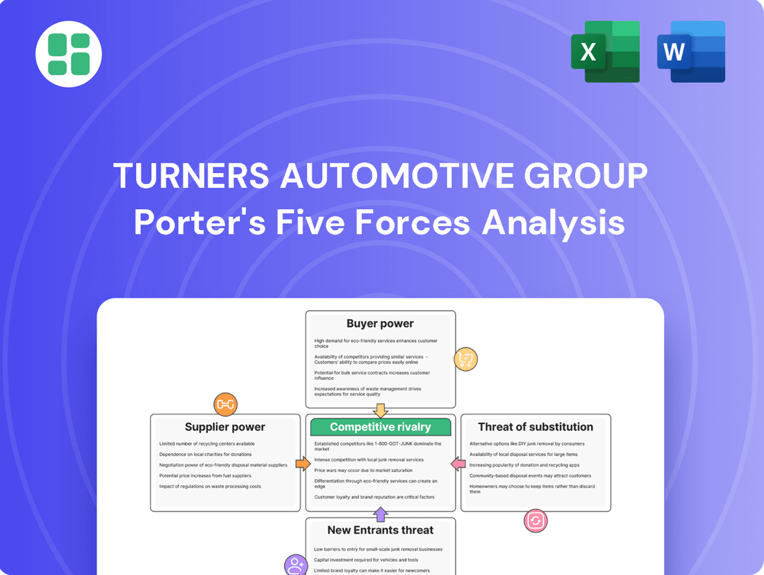 Turners Automotive Group Porter's Five Forces Analysis