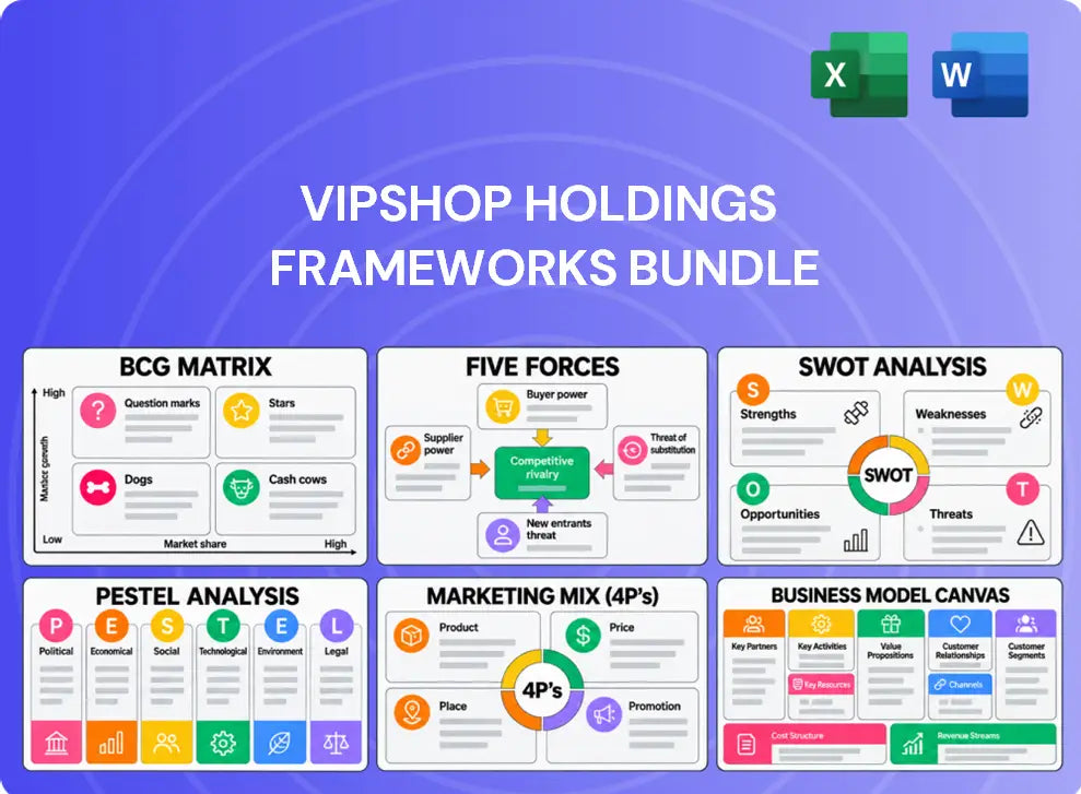Vipshop Holdings Company Analysis