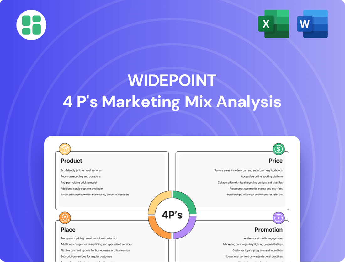 WidePoint Marketing Mix
