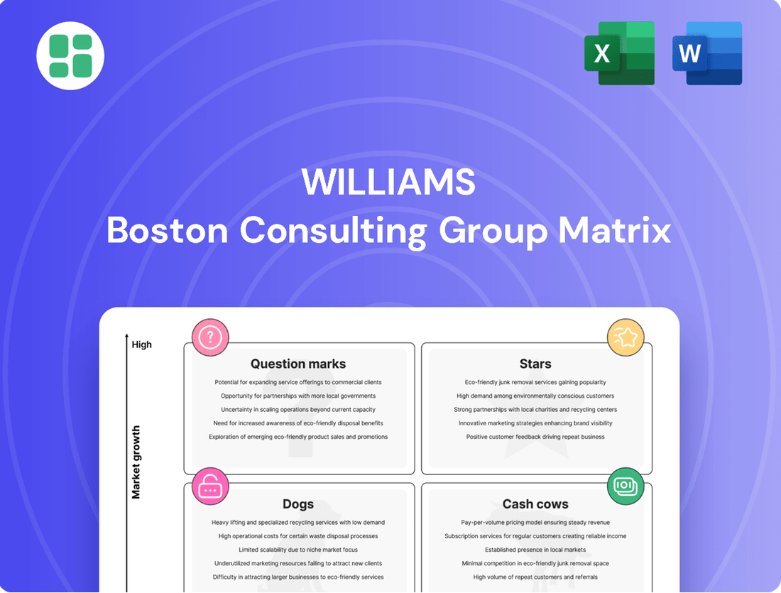 Williams Boston Consulting Group Matrix
