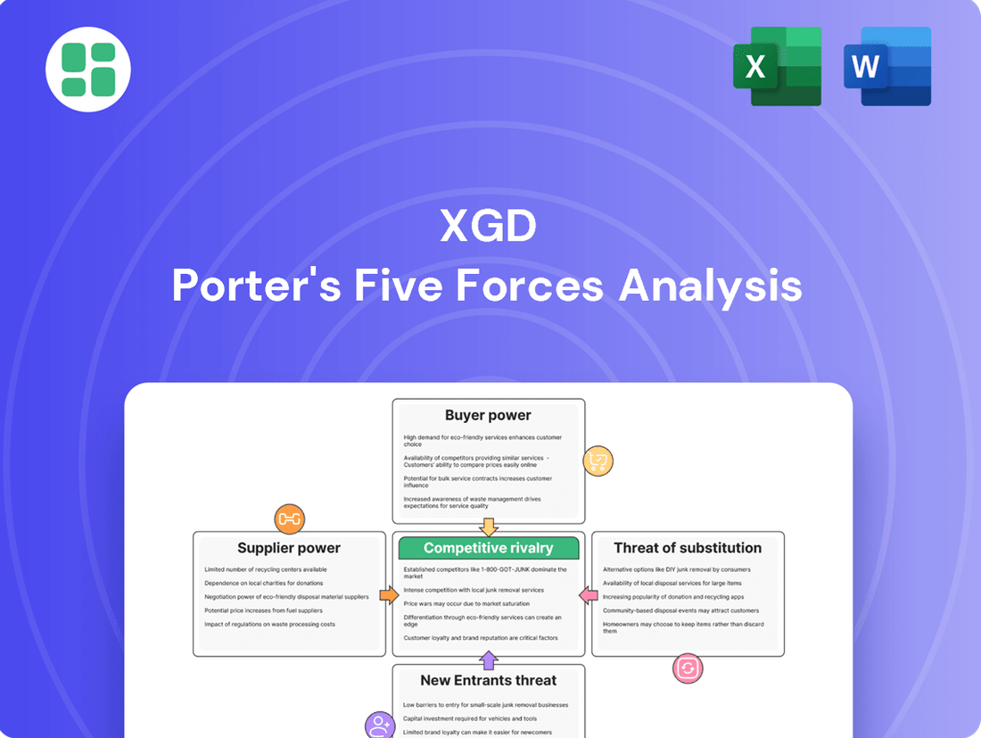 XGD Porter's Five Forces Analysis